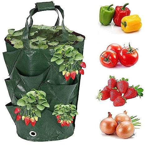 BBTISG 2 Pezzi Sacchetti da Appendere per Fiori e Piante Fragole, Fioriera da Appendere per Coltivare Sacchetti da Appendere per Fioriere da Appendere (verde)