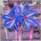 CFGRDEW Amaryllis zwiebeln winterhart,Amaryllis-Zwiebeln mehrjährige Blumenzwiebeln,Einfach zu züchtende, dekorative Zimmerpflanzen-1zwiebeln-I