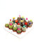 Pack de 20 plantas Cactus Flores, Mix variado cactus con flor, 8-10 cm. Cactus decorativo con flores coloridas; fácil de cuidar, ideal para interiores con buena iluminación. Segura Garden.