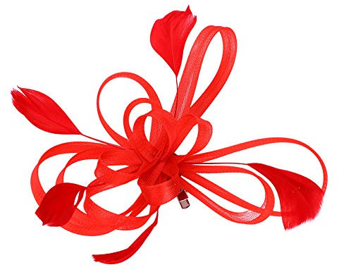 Fascinator Hut Damen Mädchen Haarschmuck Haar Clip Mesh Blumen Haarspange mit Federn Vintage Kopfschmuck Schleier Braut Haar Accessoire Frauen Headwear Kopfbedeckung für Tea Party Hochzeit Kirche