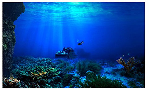 Seaworld Poster Aquarium Rückwandfolie Aquarium Dekoration 3D Aquarium Rückwand Aquarium Folie Aquarium Rückwand Fish Tank Background Pictures, 3D Effektkleber für Aquarium Dekoration(122 * 61cm)