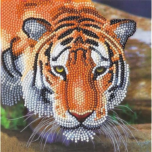 Craft Buddy Crystal Art CCK-A40 Schmetterling, 18x18cm Kristallkunstkarte, Mehrfarbig