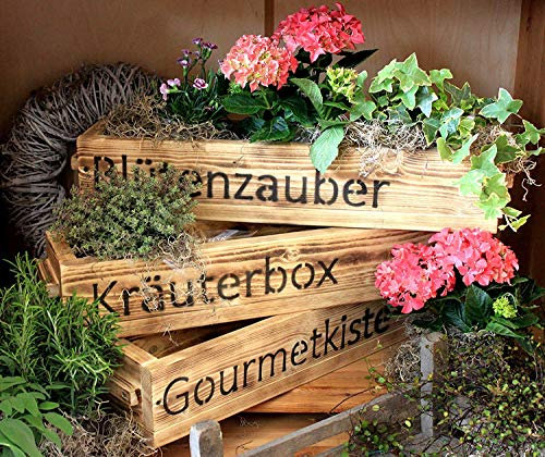 Dekorie Blumenkasten aus massiven Holz mit (Blütenzauber) Schriftzug - Farbe: Braun - Maße (HxBxT): 12 cm x 60 cm x 15 cm - hübsche Blumenkisten für Balkon, Garten oder im Haus