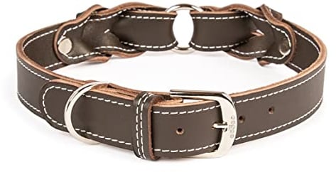 CopcoPet Hundehalsband Heidi 35 – 40 cm x 30mm Braun – Aus weichem Leder mit Ziernaht & verchromten Beschlägen – Robust, stilvoll & verstellbar – Für mittelgroße Hunde, Spaziergang & Alltag