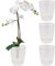 Santino 4er-Set Orchideentopf D 16.5cm.Selbstbewässernder Topf mit Dochtsystem und Wasserstandsanzeige für den Innenbereich (Transparent - 3,3L)