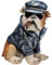 Kare Design Spardose Punk Hund, Mehrfarbig, Handbemalt, Unikat, Deko Figur fürs Wohnzimmer, Sparschwein, für Kinder und Erwachsene, Modernes Design, 22x19x16 cm (H/B/T)