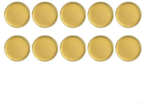 Für Schimmeltest-Set mit 10 Tests, unverzichtbares Werkzeug für Hausbesitzer und Heimwerker