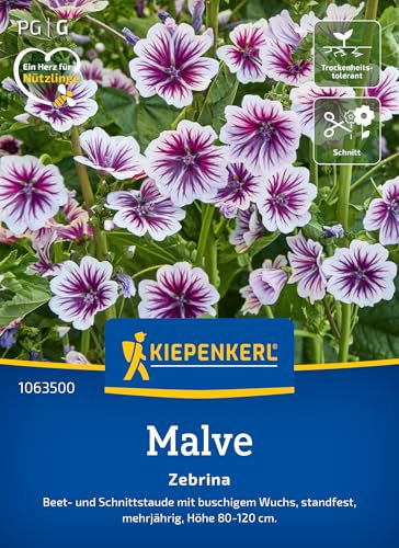 Kiepenkerl Malvensamen Zebrina 1063500 - Beet- und Schnittstaude - standfest - Höhe 80-120 cm - Blumensamen, Wildblumensamen, Blumenwiese Samen, Saatgut