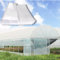 Bâche transparente en polyéthylène pour serres tunnels - 4 x 8 m - 120 microns - Pour travaux de construction, maçonnerie et agriculture