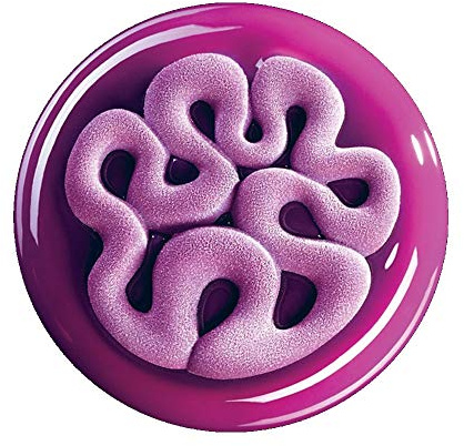 Backform Top Jelly Silikon 13,5 cm H.14