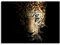 STYLER Glasbild Leopard 70 x 100 cm I Wandbild aus Glas modern für Küche Wohnzimmer Schlafzimmer Flur I schwarz Wildnis I Hingucker groß XXL