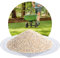 Schicker Mineral Spezial Rasensand 25 kg zur Rasenpflege, Bodenauflockerung, für grünen Rasen, zur Belüftung des Bodens, verbesserte Wasserdurchlässigkeit (Premium-Rasensand, 0,8-1,6 mm)