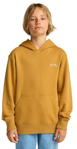 BILLABONG Boy's Paradise Slide Pullover Sweater (pack of 1)