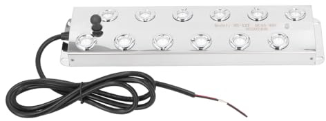 Aumotop Brumisateur Ultrasonique Silencieux pour Paysages de Jardin, 12 Têtes, étanche IP67, Machine de Brumisation Ultrasonique pour Ambiance Artistique, Câble 1,5 M