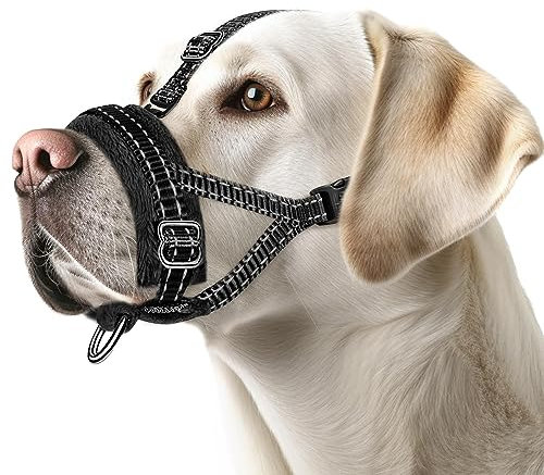 Eyein Maulkorb für Kleine Hunde, Verstellbarer Reflektierender Nylon Maulkorb für Hunde mit Verbindungsgurt, Hunde können hecheln und Trinken, Verhindert das Beißen, Bellen und Kauen (Schwarz, S)