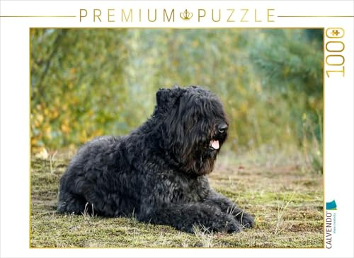 CALVENDO Puzzle EIN Motiv aus dem Kalender Bouvier des Flandres | 1000 Teile Lege-Größe 64 x 48 cm Foto-Puzzle für glückliche Stunden