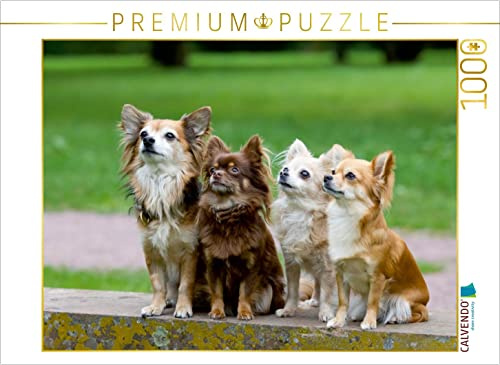 CALVENDO Puzzle EIN Motiv aus dem Kalender Chihuahuas - kleine Herzensbrecher | 1000 Teile Lege-Größe 64 x 48 cm Foto-Puzzle für glückliche Stunden