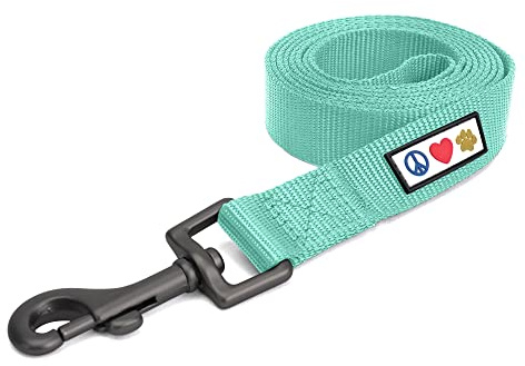 Pawtitas Solid 6 ft Teal Dog Leash M/L Custom Name and Phone Embroidery Strong Nylon Leash for Medium and Large Breeds