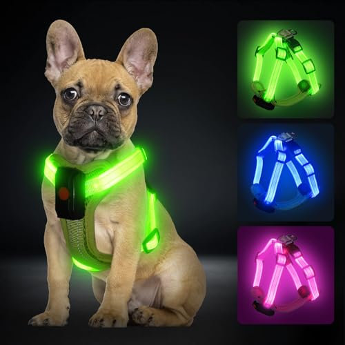 PZRLit Hundegeschirr Leuchtend Aufladbar für kleine Hunde, Leuchtgeschirr für XS Hunde, Reflektierend LED Geschirr für Welpen für sicheres Gehen in der Nacht-Grün