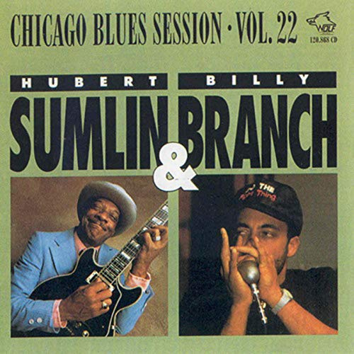 CHICAGO BLUES SESSION 22 / VARIOUS