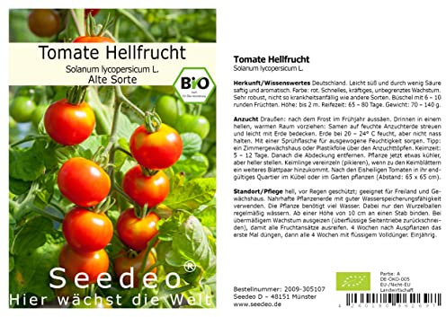 Seedeo® Tomate Hellfrucht (Lycopersicum L.) 35 Samen BIO