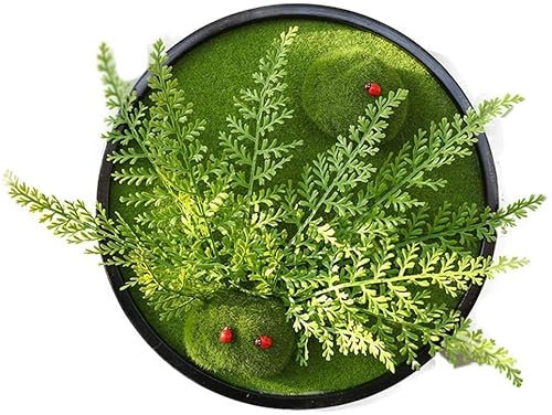 CAZARU Wall Hanging Planter Succulent Round Simulation Green Planting Frame Wall Flower Living Room Wall Wall Plant Creativity Restaurant Wooden Wall Wall Decoration Black,B