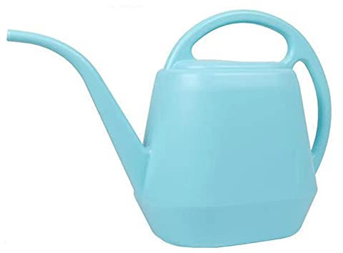 Arrosoir de grande capacité de 4 L - Bouilloire à bec long pour intérieur ou extérieur - Pour plantes de jardin, fleurs, plantes succulentes, bonsaï, arrosoir - 10 l