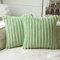 MIULEE Plüsch Samt Kissenbezug Kissenbezüge Kunstpelz weich Moderne Sofakissen Dekokissen Glatter Reißverschluss Waschbar Deko Kissenhülle für Wohnzimmer Schlafzimmer Sofa 2er Set 40x40 cm Hellgrün