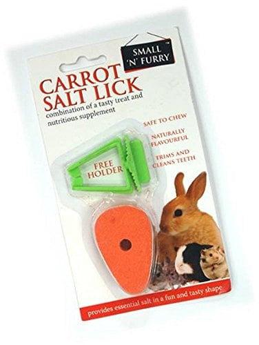 Salt Carrot Lick Chew Toy with Holder in Orange