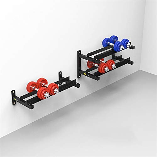 ZZRS Wall-mounted Dumbbell Rack Fitness Equipment Storage Rack Three Gear Adjustment Single/Double-layer Fitness Storage Holder for Most Dumbbells (Color : 2layers)