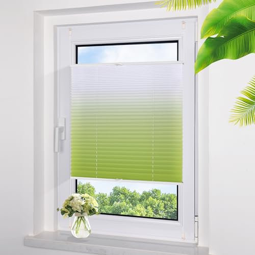 Grandekor Plissee ohne Bohren Farbverlauf Grün-Weiß 50x120cm, Plissees Klemmfix Sichtschutz und Sonnenschutz Blickdicht Faltrollo Lichtdurchlässig Rollos für Fenster ohne Bohren