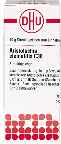 DHU Aristolochia clematitis C30 Streukügelchen, 10 g Globuli