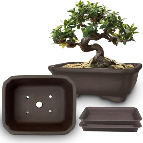 MUZHI 2PACK Unglazed 6” Ceramic Bonsai Pot with Humidity Trays, Breathable Handmade Rectangle Bonsai Starter Planter for Bonsai Tree, Juniper,Ficus, Money Tree