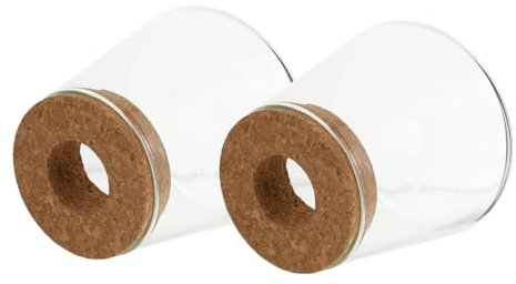 Mipcase 2 Pezzi Vaso Idroponico per Piante Terrario Decorazione e Ufficio Design Semplice e Spazioso Resistente Coltivazione