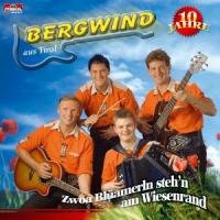 Zwoa Blüamerln Steh'N am Wiese