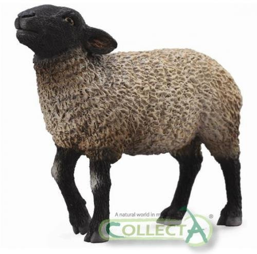 CollectA Suffolk-Schaf - Vorbestellung ca. Juni 2013