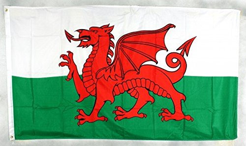 Flagge Fahne Wales 90x60 cm wetterfest und lichtecht für innen und aussen