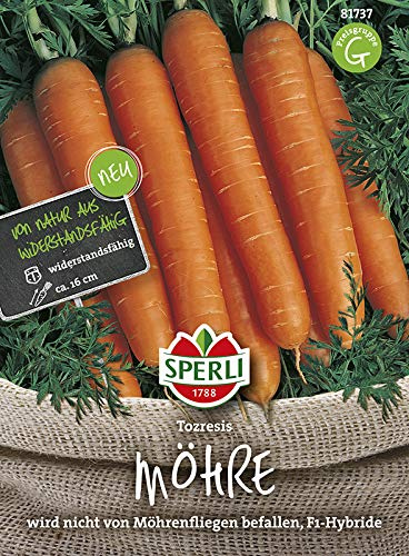Möhren Tozresis F1 von Sperli-Samen