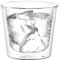 KINTO CAST 21430 doppelwandiges Steinglas, 250 ml, hitzebeständiges Glas, doppelwandige Konstruktion, mikrowellen- und spülmaschinenfest