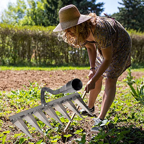 Cymwer Azada de acero profesional, herramienta de deshierbe de jardín, azada de excavación de jardín y rastrillo para plantar alisar y aflojar el suelo, rejilla oscilante para malas hierbas en el