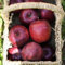 apfelbaum samen - samen anzucht，säulenobstbäume hochbeete für garten，winterharte pflanzen pflanztöpfe，gartendeko für draußen balkonpflanzen，gewächshaus balkon zimmerpflanzen，pflanzen 200pcs