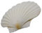 YUPEIUKLI Grandes coquilles Saint-Jacques Blanches pour la Peinture et Les décorations de Mariage sur la Plage Coquillages Blancs naturels 3 à 5 Pouces