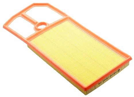Castrol Filters CA0081 Air Filter