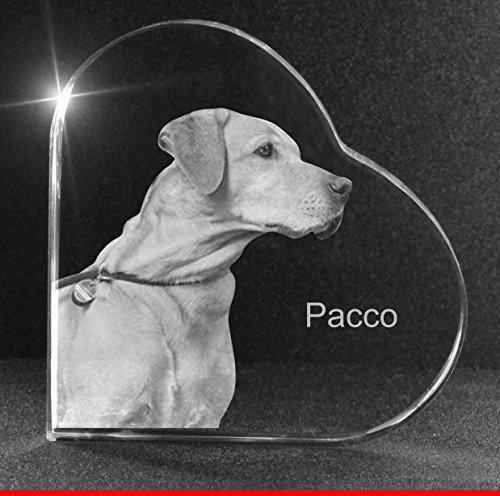 VIP-LASER 2D Gravur Glasherz L mit Deinem Hundefoto Hund graviert!. Dein Wunschfoto für die Ewigkeit Mitten in Glas! Groesse L = 60x60x19mm