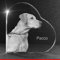 VIP-LASER 2D Gravur Glasherz L mit Deinem Hundefoto Hund graviert!. Dein Wunschfoto für die Ewigkeit Mitten in Glas! Groesse L = 60x60x19mm