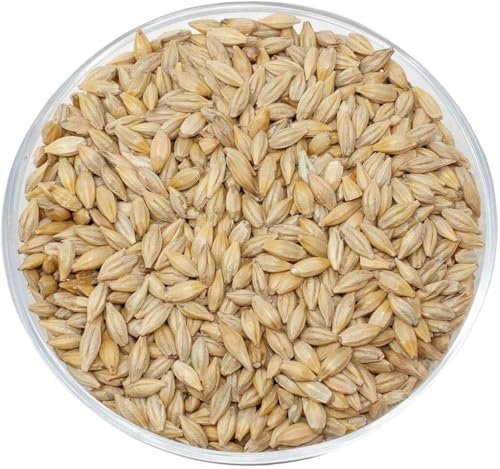 Leimüller Braugerste 25 kg | Natürliche Futter-Gerste aus Österreich | Ideal als Vogelfutter, Streufutter, Ganzjahresfutter für Vögel, Tauben & Hühner | Ohne Zusätze & Konservierungsstoffe