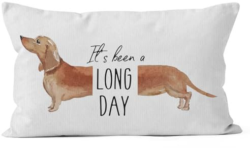 HIWX Dekorativer Kissenbezug mit Aufschrift It's Been A Long Day, Dackel, lustiges Zitat für Sofa, Schlafzimmer, Zuhause, Couch, Dekoration, 30,5 x 50,8 cm