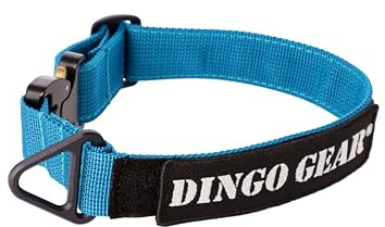 Dingo Gear Hundehalsband Cobra mit professioneller Sicherheitsschnalle und Etikett mit Klettverschluss zuverlässiges Halsband für Verteidigungstraining Halsumfang 38-48 cm Meerblau (S03935)