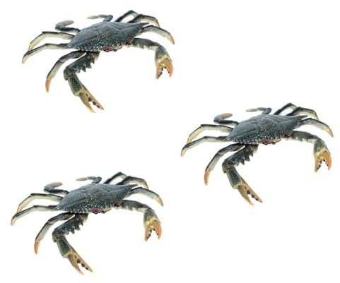 Sosoport 3 Pièces Portunid Solide Océan Crabe Vide Boîte Coquilles Décor Sable Cage Réservoir Aquarium Poisson Figurine d'animal Marin Vif Modèle d'animal Marin Réaliste Plastique
