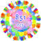 May Huang 851 Stück Wasserbomben Selbstschließend, Schnell Befüllbarer Wasserbombems, Wasserballons, Bunt Wasserbombem, Wasser Bomben mit Wasserhahn Anschluss, Water Balloons für Kinder (851)